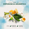 Imagen de HERBAL ESSENCES AC. ARGAN OIL [400 ml]