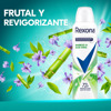Imagen de REXONA AERO ANTITR. BAMBOO & ALOE VERA STAY FRESH FEMENINO [150 ml]