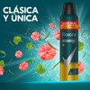 Imagen de REXONA AERO ANTITR. V8 MASCULINO [250 ml]