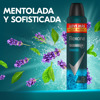 Imagen de REXONA AERO ANTITR. XTRA COOL MASCULINO [250 ml]