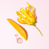 Imagen de GIORGIO ARMANI MY WAY YLANG EDP [50 ml]